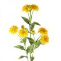 Sztuczny kwiat dekoracyjny NATU II żółty x12