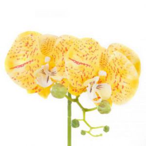 AmeliaHome Sztuczny kwiat ozdoba w doniczce ORCHI żółty