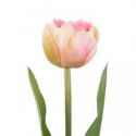 AmeliaHome Sztuczny kwiat tulipan TULIPI pudrowy róż