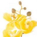 AmeliaHome Sztuczny kwiat FALENI żółty