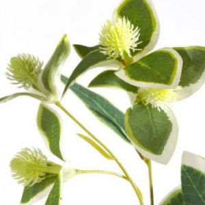 Sztuczny kwiat dekoracyjny trzmielina NATU zielony x6