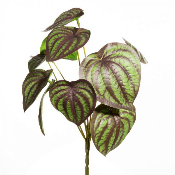 Kwiat sztuczny dekoracyjny peperomia NATU zielono brązowy x6