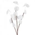 Sztuczny kwiat dekoracyjny eukaliptus FLORE biały x6