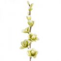 Sztuczny kwiat dekoracyjny magnolia FLORE zielony x6