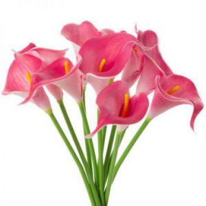 Sztuczny kwiat dekoracyjny cantedeskia NATU amarantowy x6