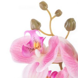 AmeliaHome Sztuczny kwiat x 10 orchidea FALENI 25x76 cm różowy