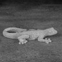 Figurka z żywicy poliestrowej jaszczurka ELDO 19X10X4 srebrna
