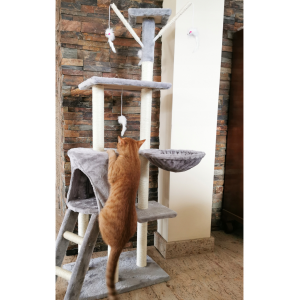 Drapak dla kota wysoki 50x35x140cm wielopoziomowy wieża legowisko