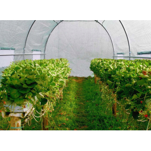 Tunel ogrodowy foliowy szklarnia warzywniak 400X200X200 cm 19 mm zielony